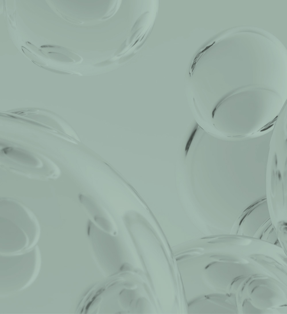 멘드의원 리바이브(벨로테로)